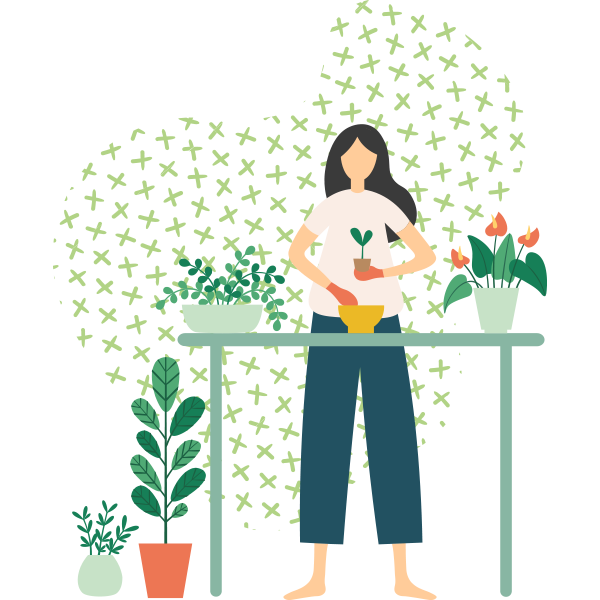 https://maisonbarrault.fr/wp-content/uploads/2019/11/illustration_01.png