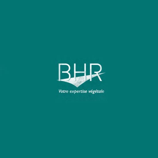 BHR