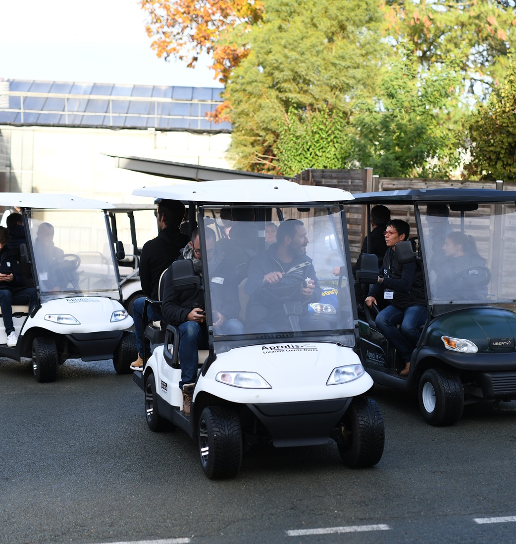 Voiturette électrique Voiturette électrique